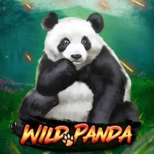 Wild Panda